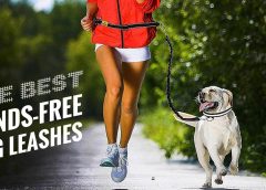 Are Hands-Free Leashes The Right Option For Your Dog