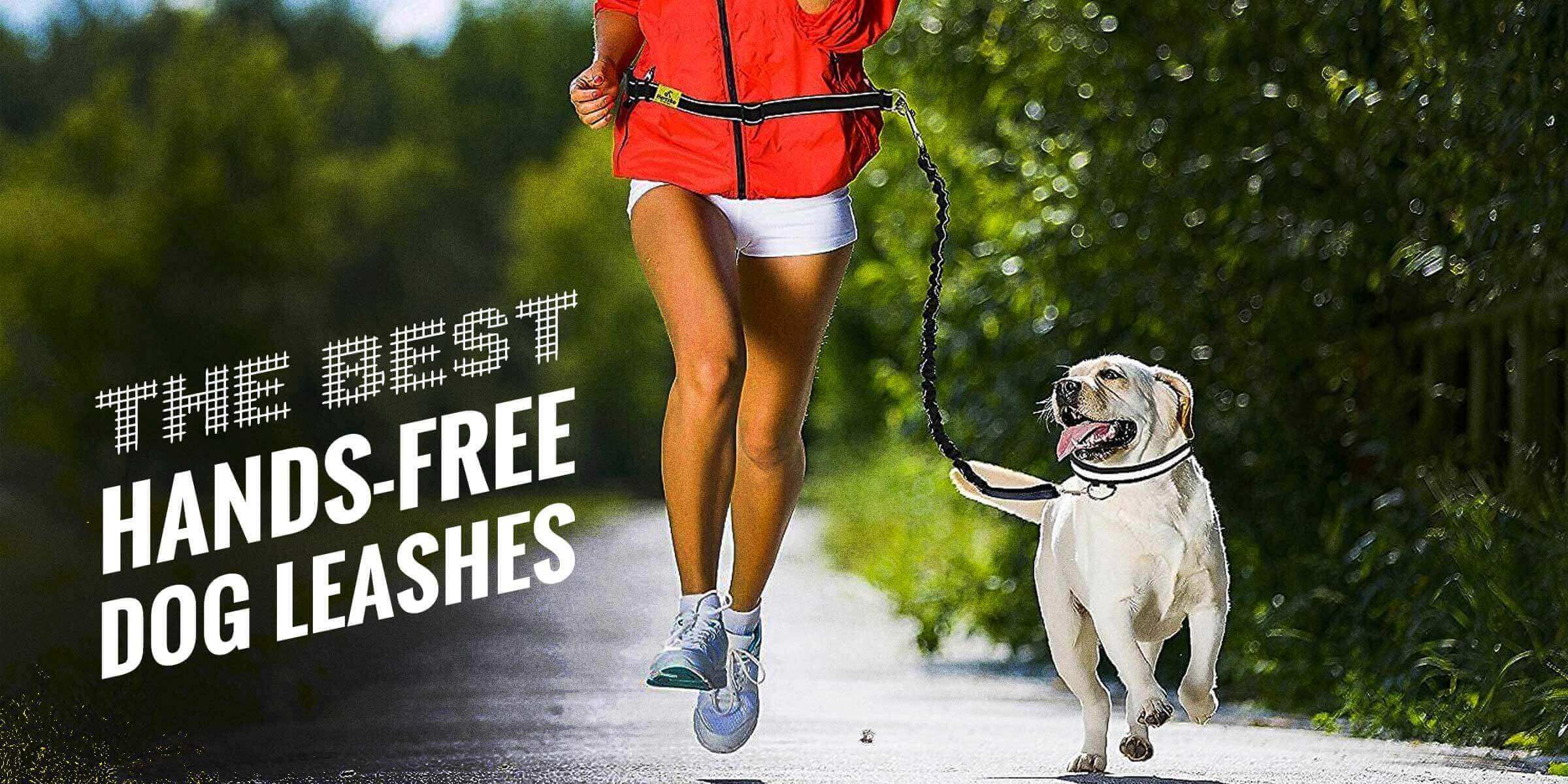 Are Hands-Free Leashes The Right Option For Your Dog