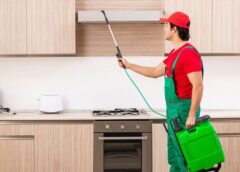 Pest Control Service near me