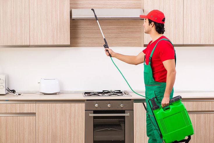 Pest Control Service near me
