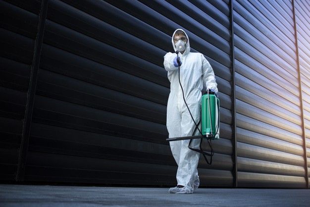 pest control Calgary